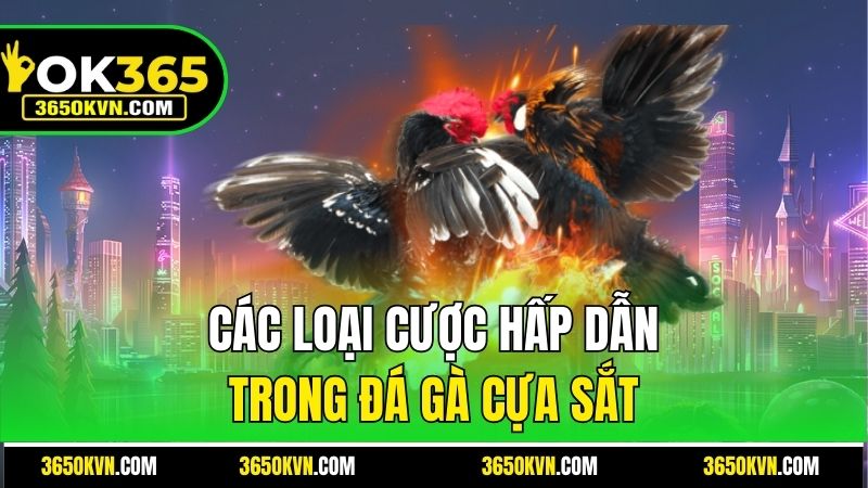 Các loại cược hấp dẫn trong đá gà cựa sắt