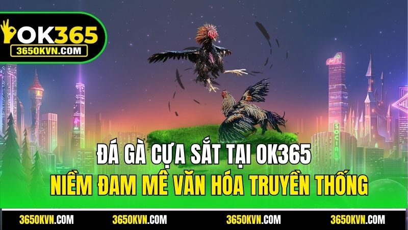Đá Gà Cựa Sắt OK365- Niềm Đam Mê Văn Hóa Truyền Thống