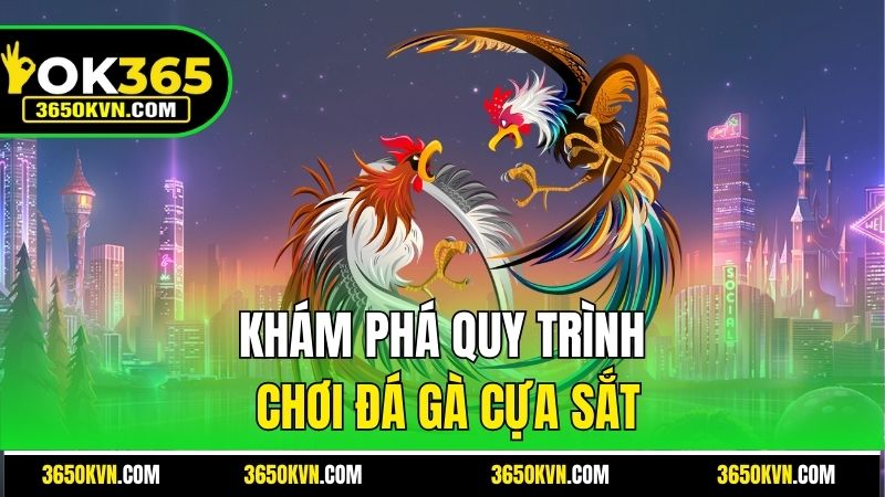 Khám phá quy trình chơi đá gà cựa sắt