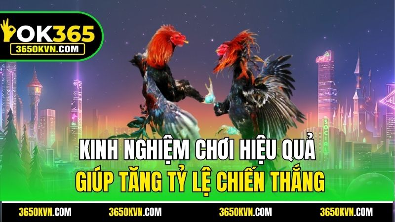 Kinh nghiệm chơi hiệu quả giúp tăng tỷ lệ chiến thắng