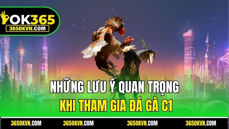 Những lưu ý quan trọng khi tham gia đá gà C1