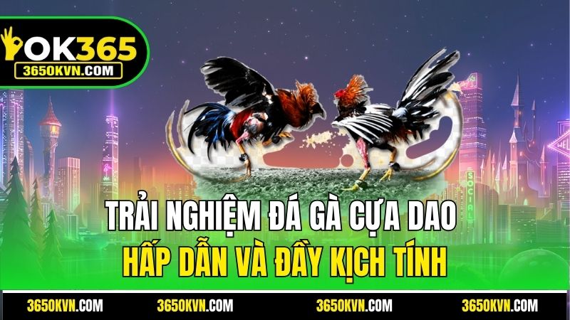 Trải nghiệm đá gà cựa dao hấp dẫn và đầy kịch tính