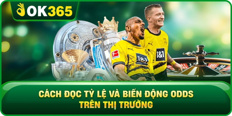 Cách Đọc Tỷ Lệ Và Biến Động Odds Trên Thị Trường