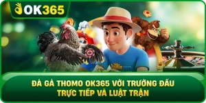 Đá Gà Thomo OK365 Với Trường Đấu Trực Tiếp Và Luật Trận