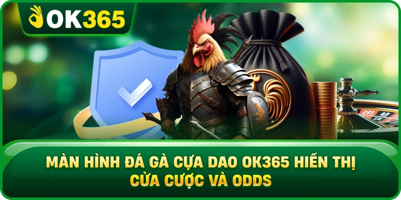 Màn Hình Đá Gà Cựa Dao OK365 Hiển Thị Cửa Cược Và Odds