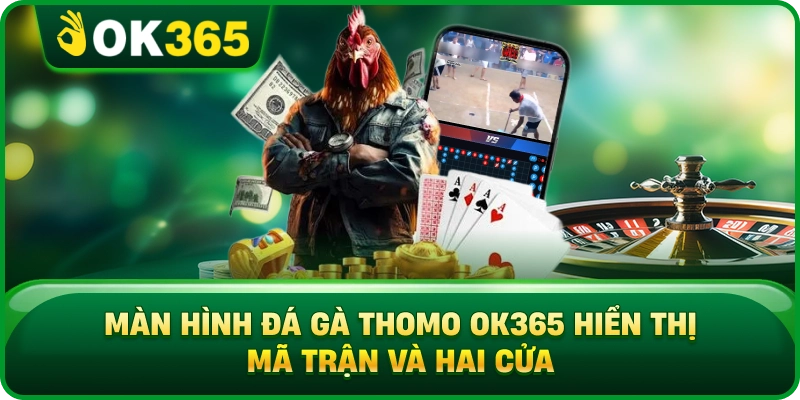 Màn Hình Đá Gà Thomo OK365 Hiển Thị Mã Trận Và Hai Cửa